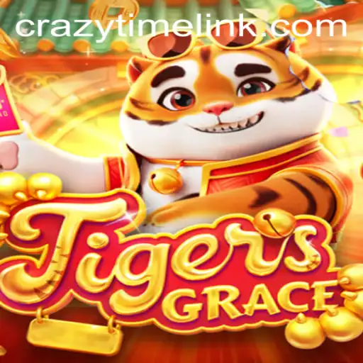 Exploring TigersGrace: The Dynamic Game and Its Rules